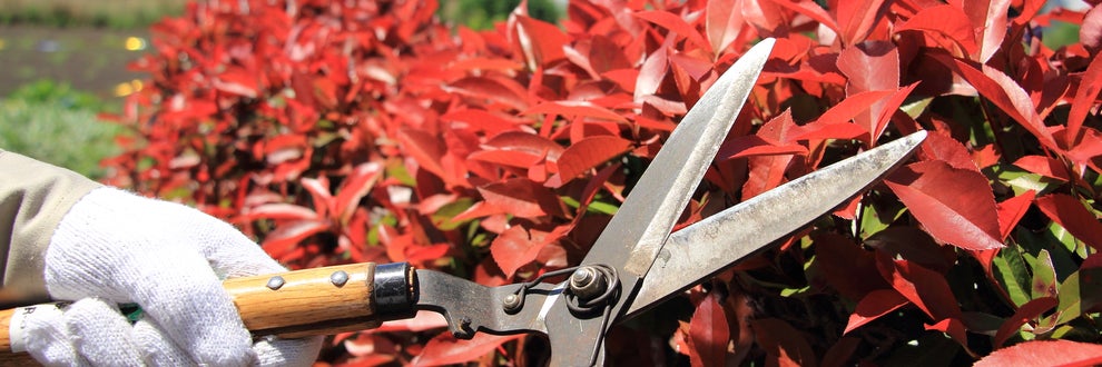 佐々木造園の画像