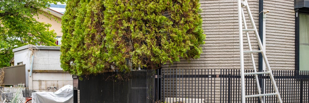 佐々木造園の画像