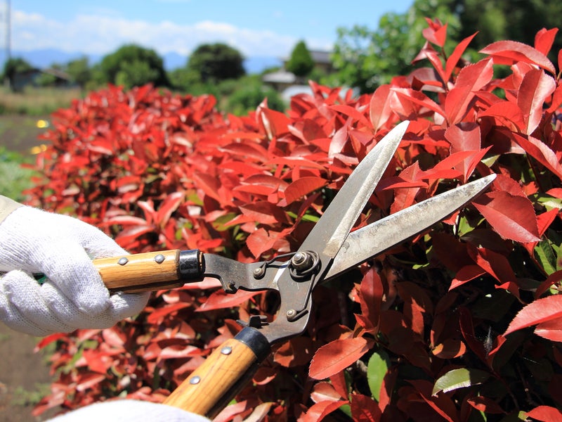 佐々木造園の画像