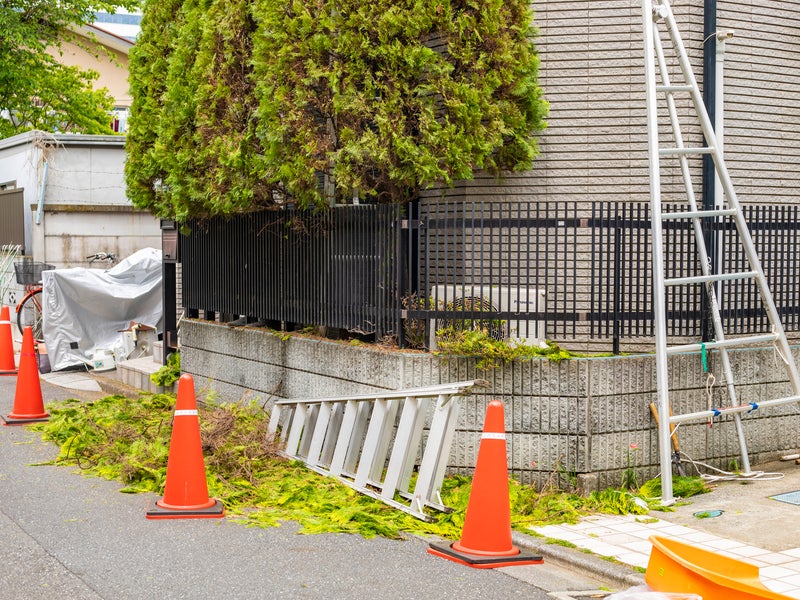 佐々木造園の画像