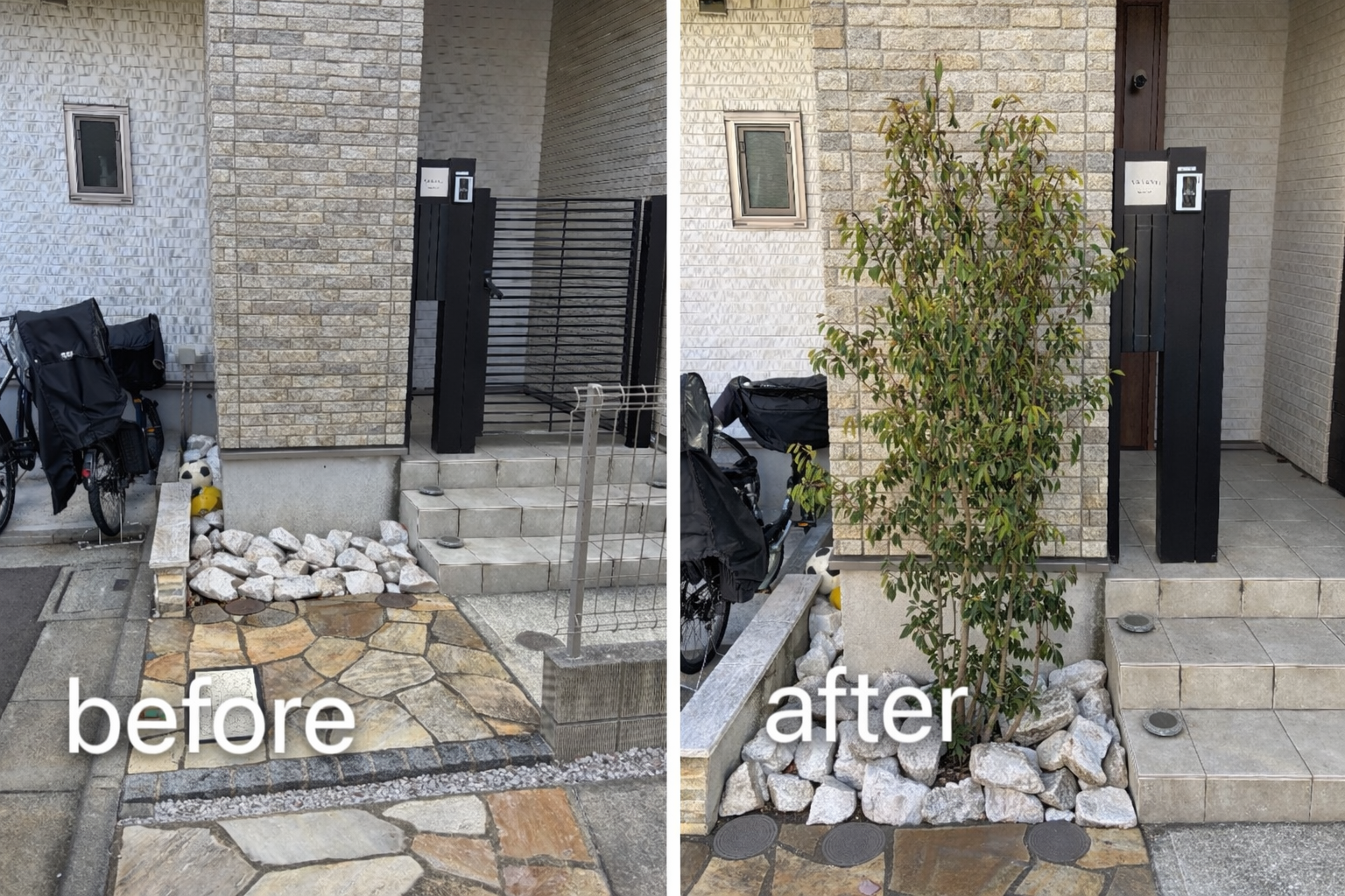 シンボルツリー植栽の画像