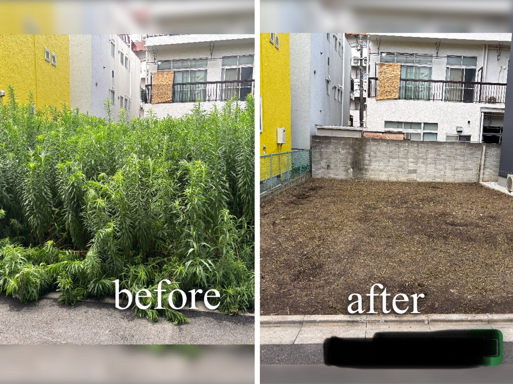お庭の除草や建築予定地の草刈りお任せください♪の画像